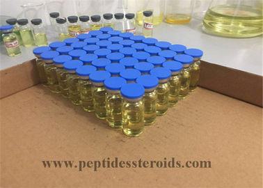 Testostérone Propionat 100 stéroïdes anabolisant injectables CAS 57-85-2