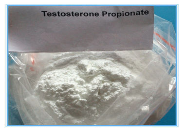 Stéroïde d'injection de Propinoate d'essai de CAS 57-85-2 de poudre de testostérone