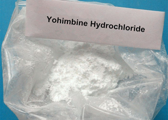 Poudre masculine de HCL d'hormones stéroïdes d'extrait de fines herbes de CAS 65-19-0 de chlorhydrate de Yohimbine