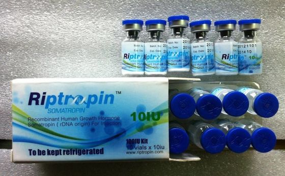 China Human Growth Hormone Peptide Riptropin HGH 100iu/kit For Nice Body Shape and Gain Muscle
