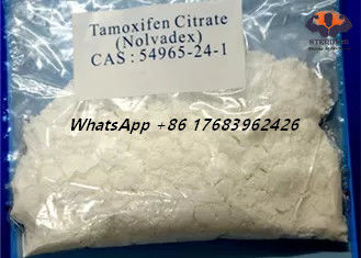 Poudre cristalline blanche de stéroïdes de dresseur d'oestrogène de citrate de Tamoxifen de CAS 54965-24-1 Nolvadex