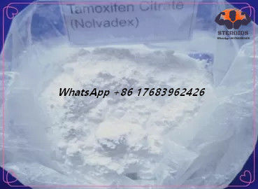 L'anti Tamoxifen de stéroïdes d'oestrogène de poudre blanche citratent CAS 54965-24-1 Nolvadex CAS 54965-24-1